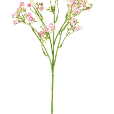 forget me not mini 2 scaled