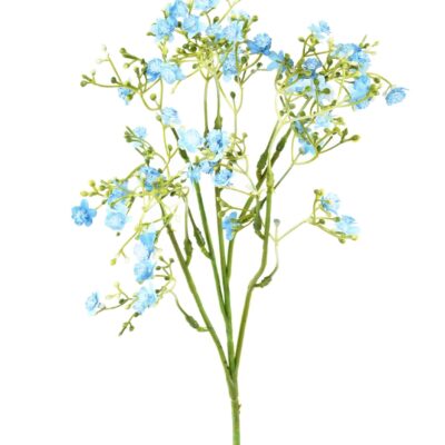 forget me not mini scaled