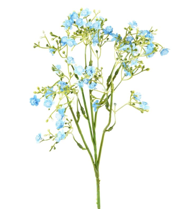 forget me not mini scaled