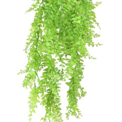 fougere boston fall scaled