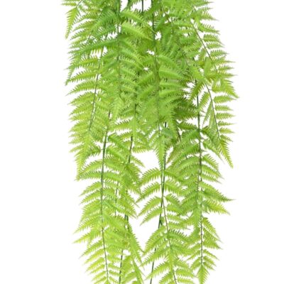 fougere dentelee fall 120 scaled