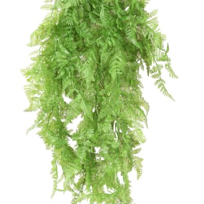 fougere fall 72 scaled