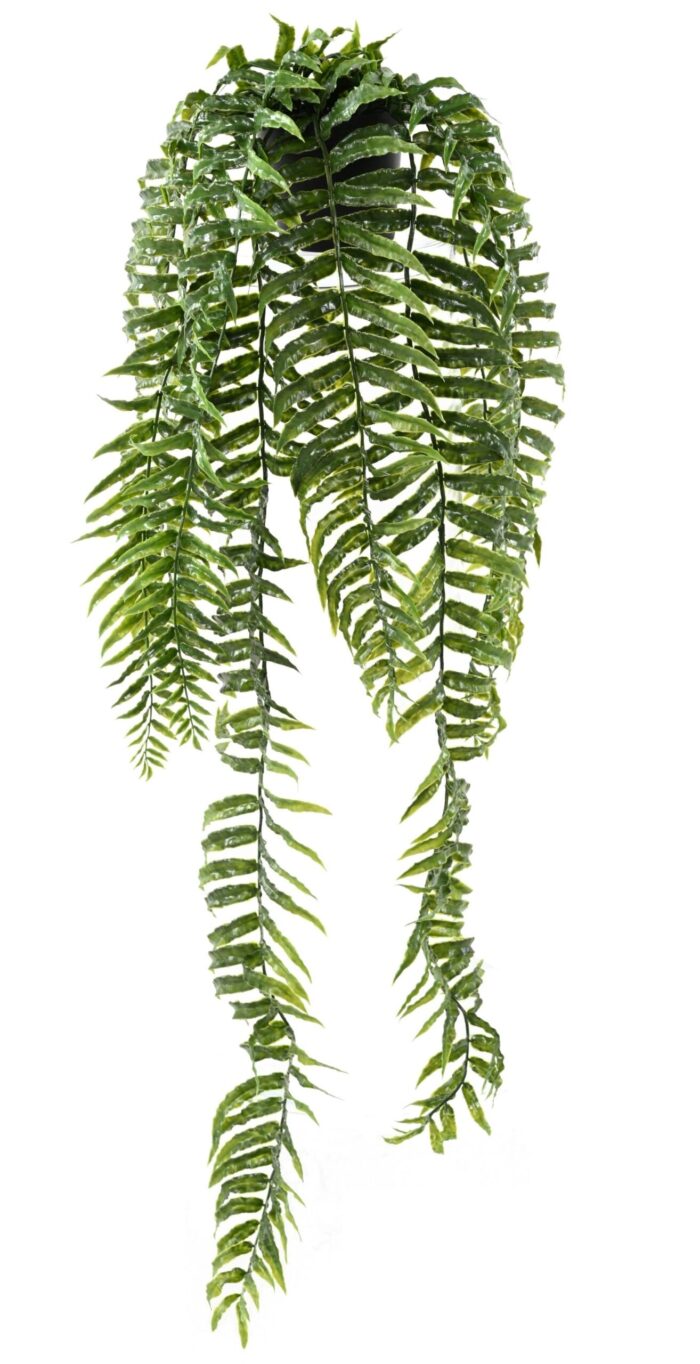 fougere falls 75 pot scaled