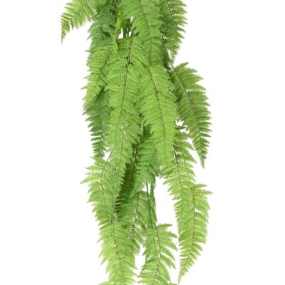 fougere falls wide 123 scaled