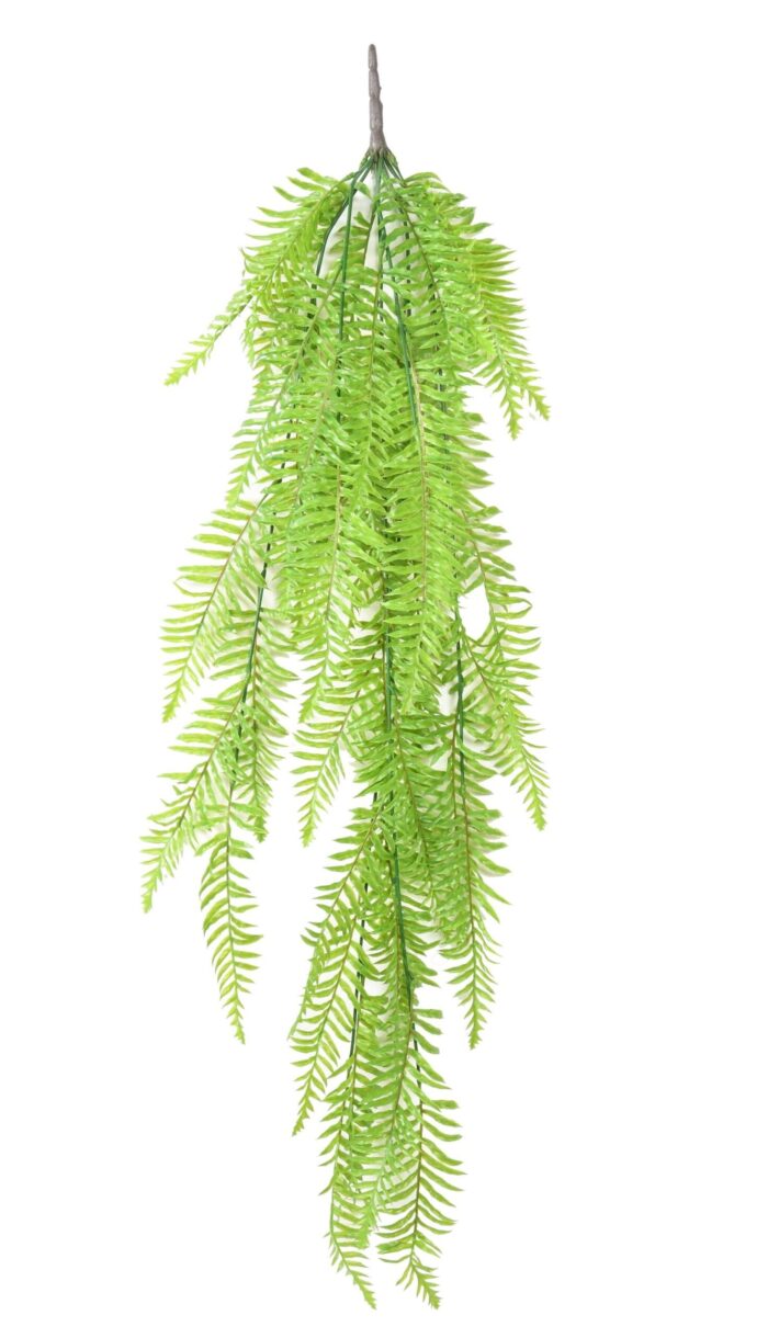 fougere long fall scaled