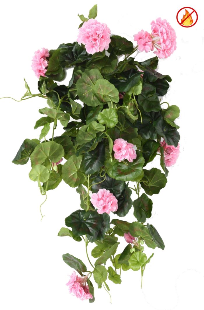 geranium hanging bush fr fire resistant scaled