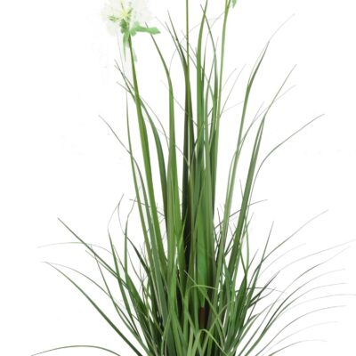 grass flower 95 scaled