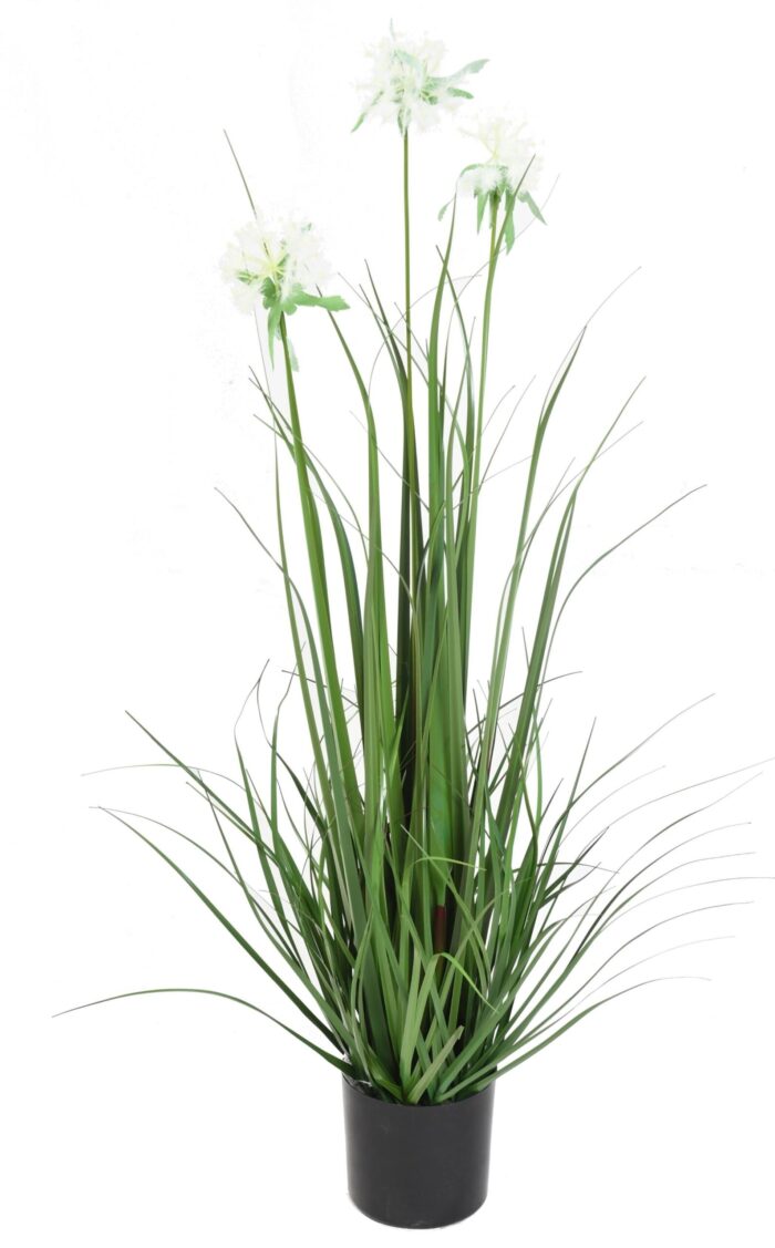 grass flower 95 scaled