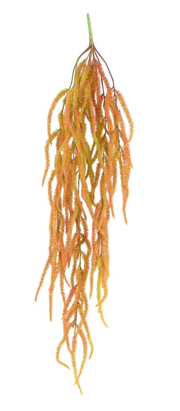 hanging milky sedge 1 scaled