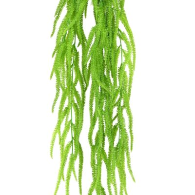 hanging milky sedge scaled