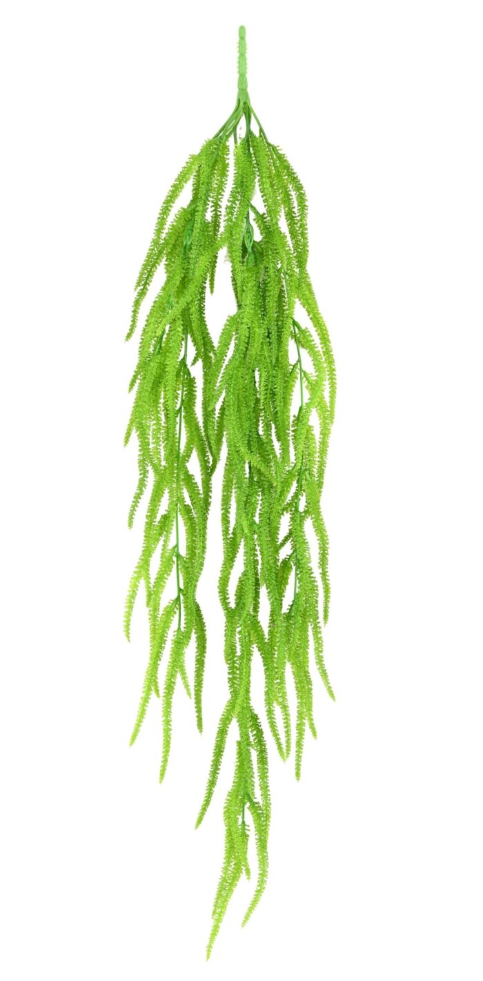 hanging milky sedge scaled