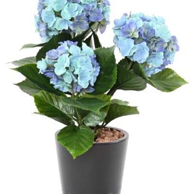 hydrangea 3t 45 uv resistant 1 scaled