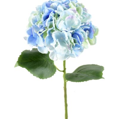 hydrangea spray 55 1 scaled