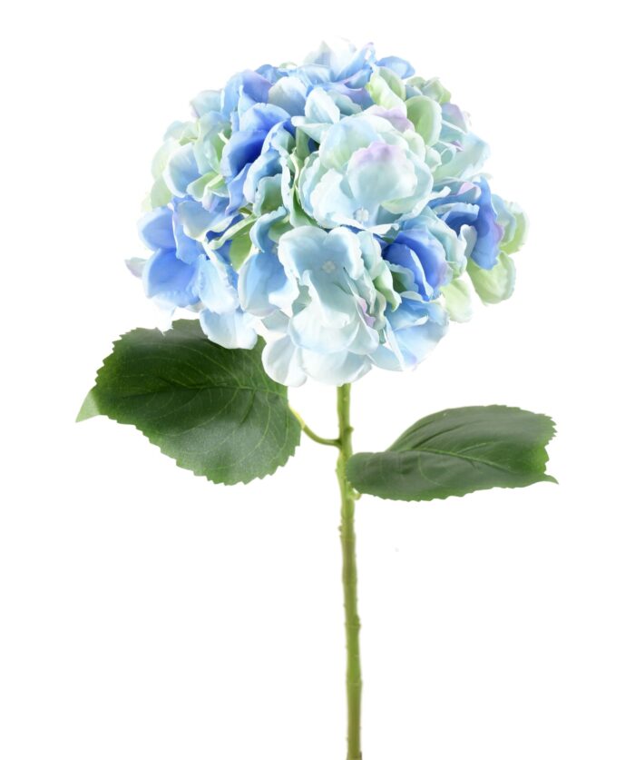 hydrangea spray 55 1 scaled