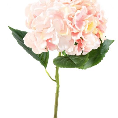 hydrangea spray 55 2 scaled