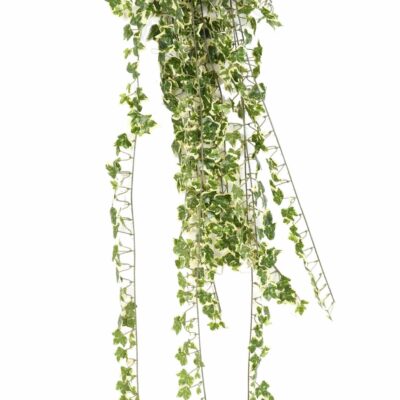 ivy 801 en fire resistant 1 scaled