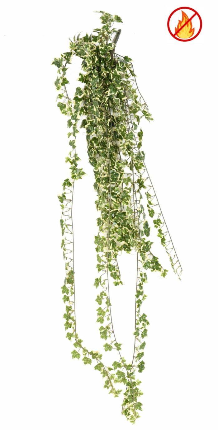 ivy 801 en fire resistant 1 scaled