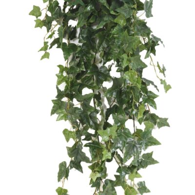 ivy english fall 1 scaled