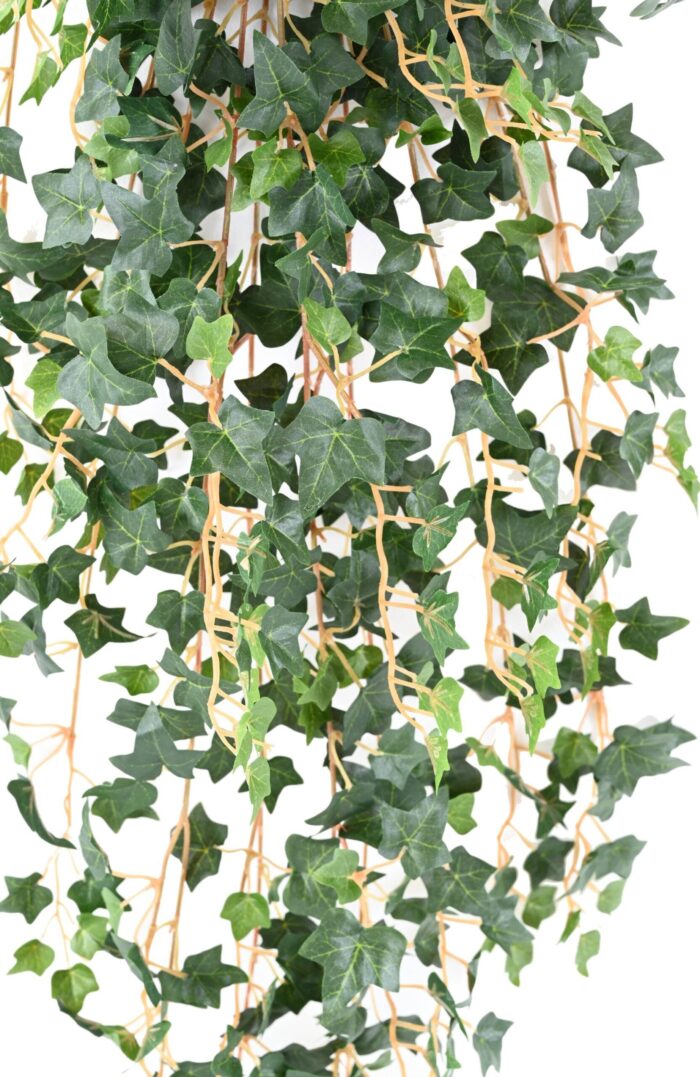 ivy mini 110 scaled