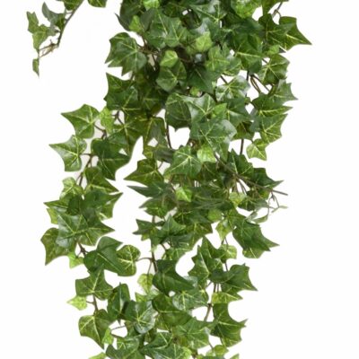 ivy504 fr fire resistant scaled