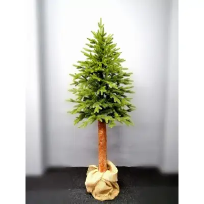 jodla exclusive na pniu 180 cm 1