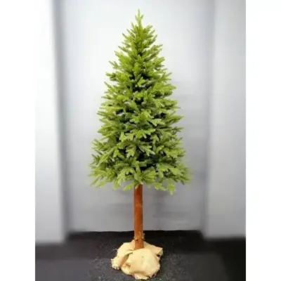 jodla exclusive na pniu 220 cm 1