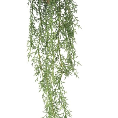 juniperus fall 95 scaled