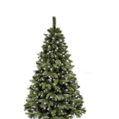 kanad kiefer schnee120