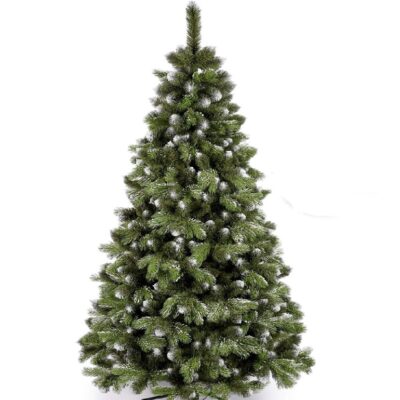 kanad kiefer schnee170