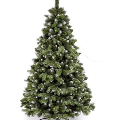 kanad kiefer schnee210