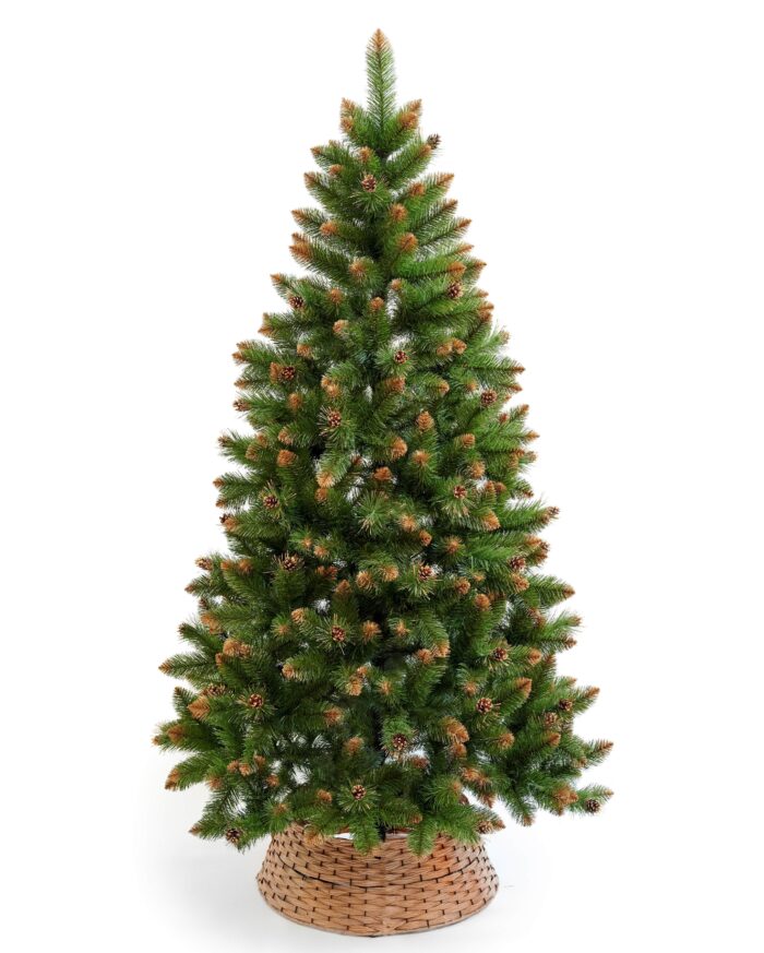 korbb baum scaled