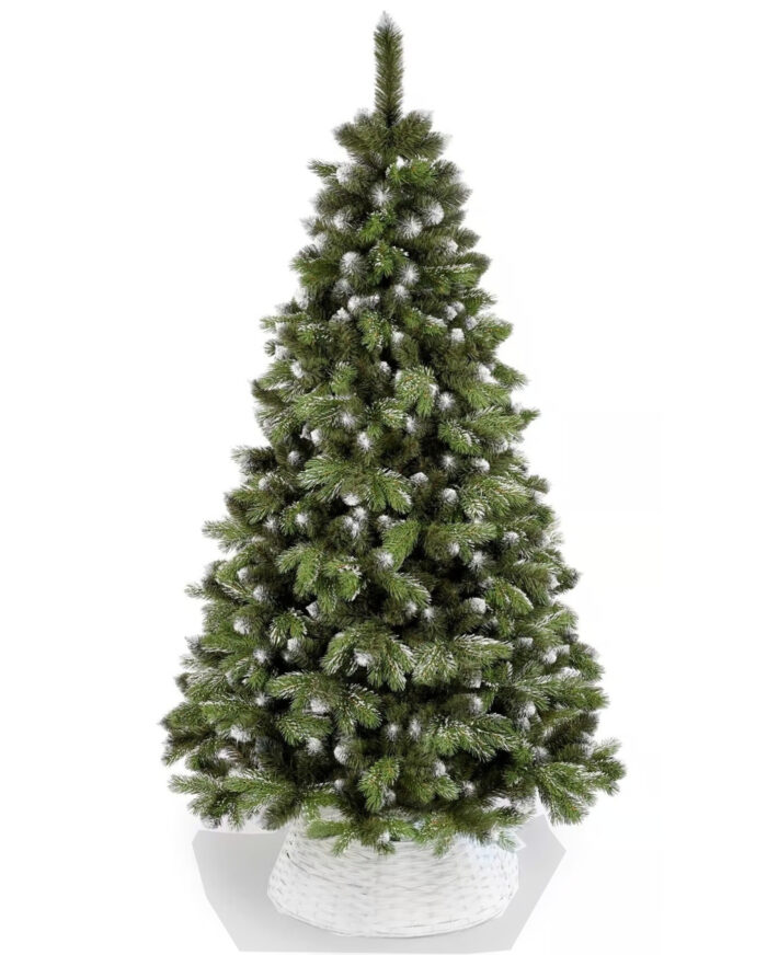 korbw baum