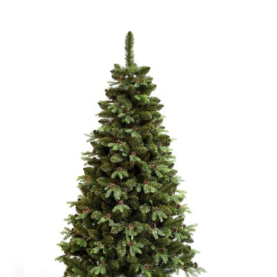 koreanische tanne 120