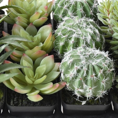 kuenstliche kakteen sukkulenten