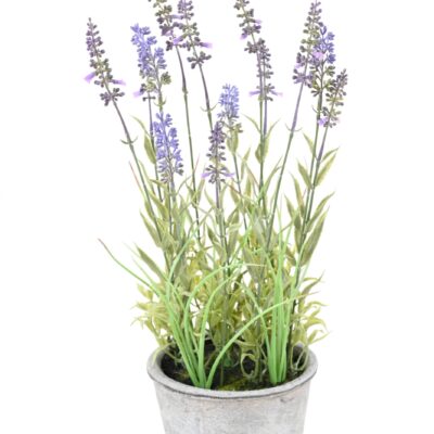 lavande pot deco scaled