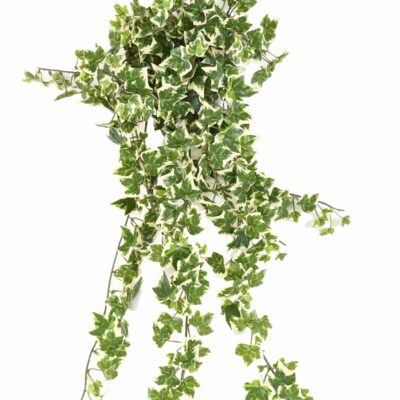 lierre504 fr fire resistant scaled