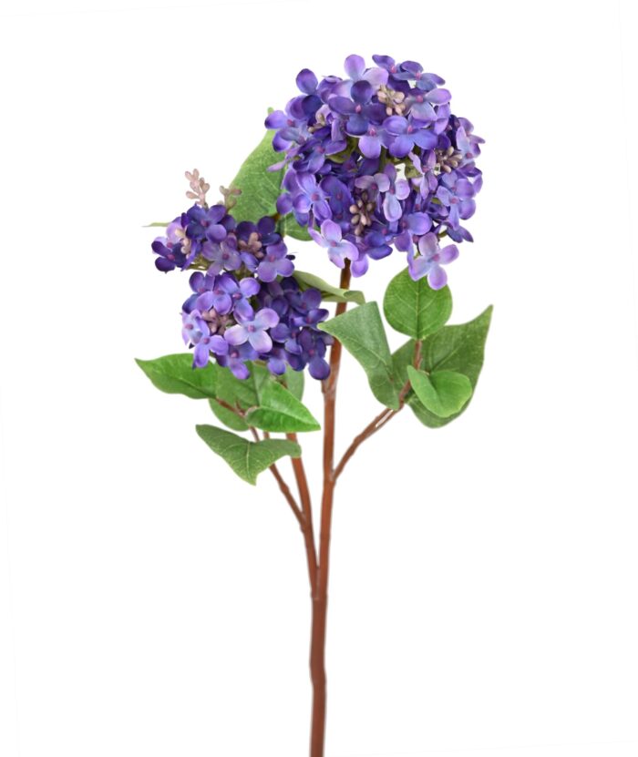 lilac 84 2 scaled