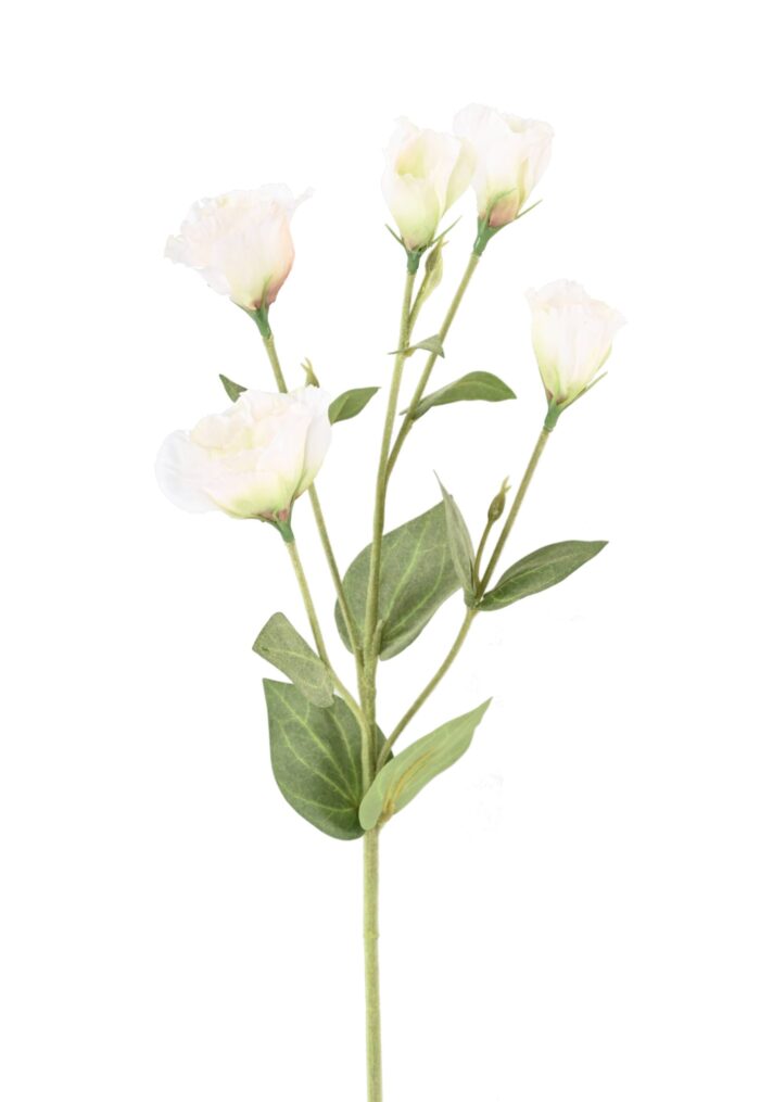 lisianthus 76 scaled