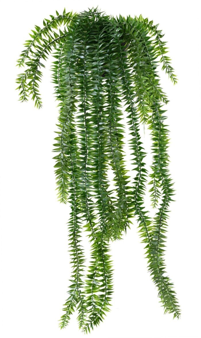 lycopodium drops 70 pot scaled