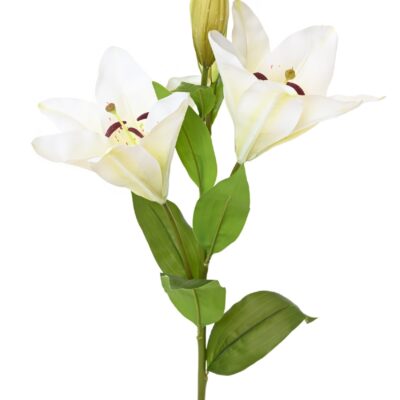 lys casablanca 2fl scaled