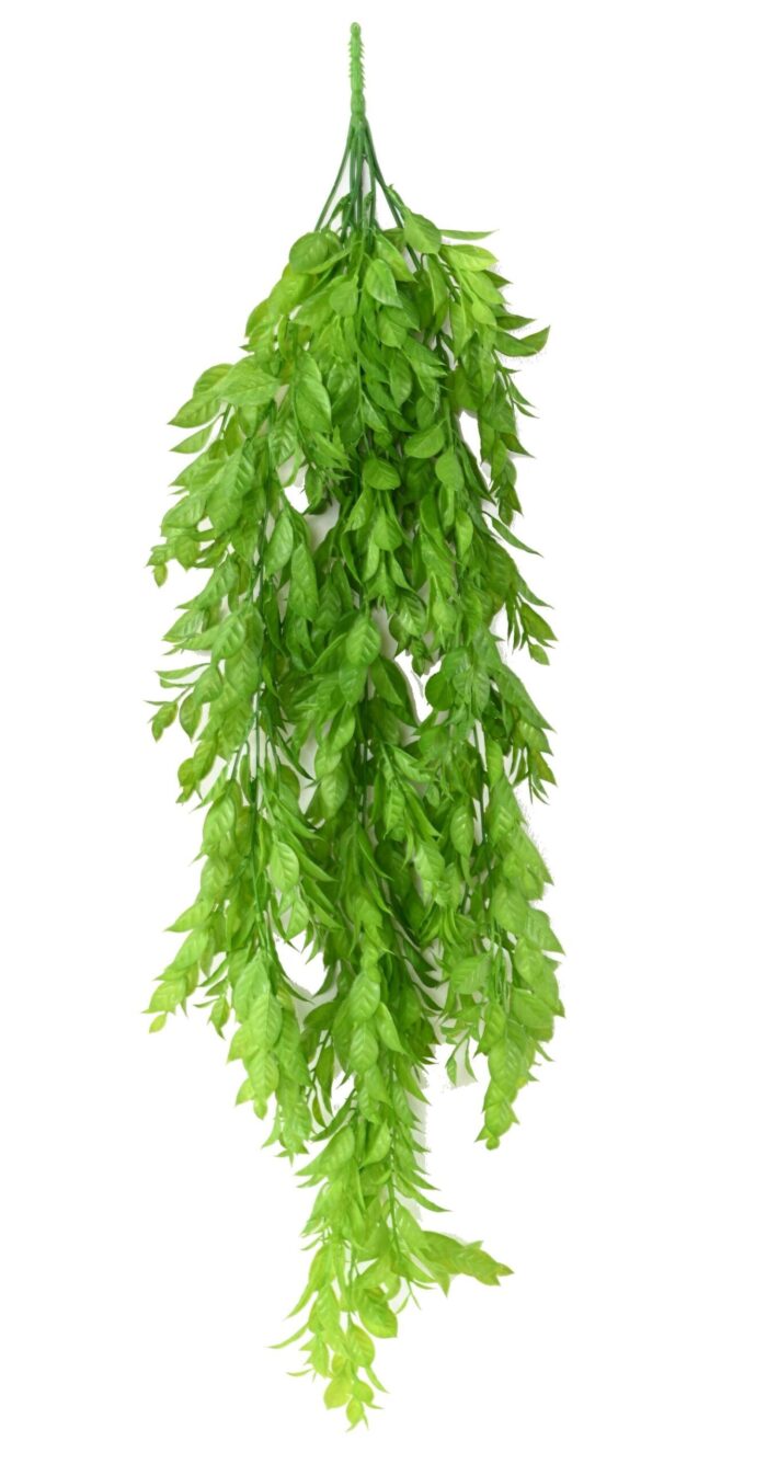 melisse fall scaled