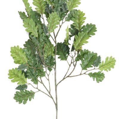 oak mini spray scaled