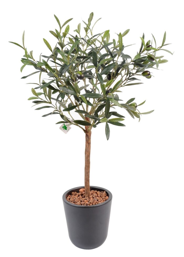 olive tree plant pot 10
