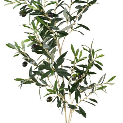 olive tree spray 109cm 30612ft scaled