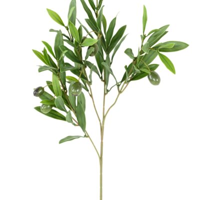 olive tree spray 52 uv plastered olives scaled