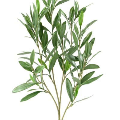 olivier spray plast uv scaled