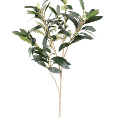 olivier spray s scaled