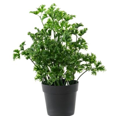 persil 25 jar scaled