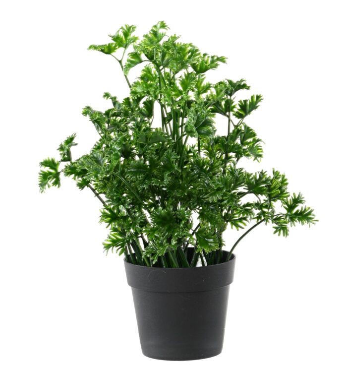 persil 25 jar scaled