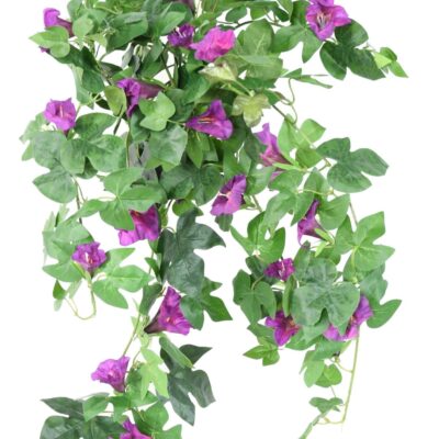 petunia hanging bush 1 scaled